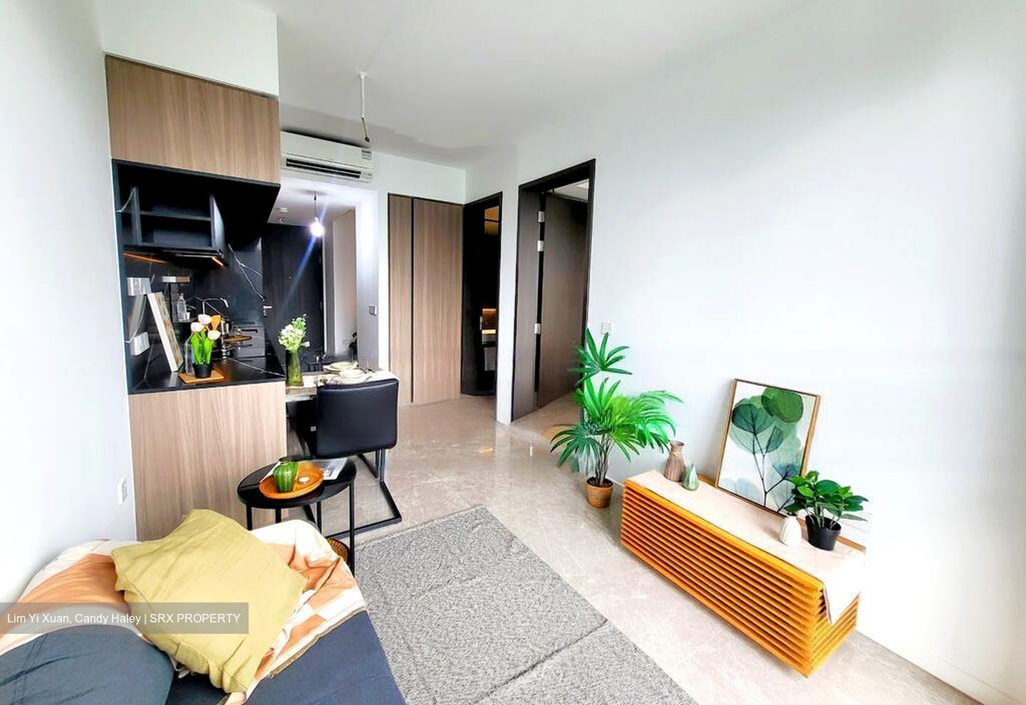 Irwell Hill Residences (D9), Apartment #471678911